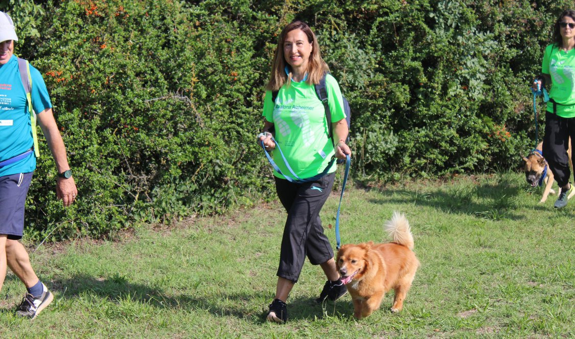 Dog Walking 2026