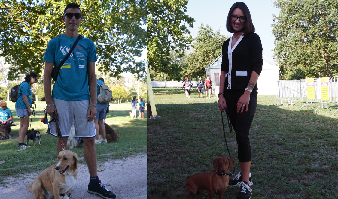 Dog Walking