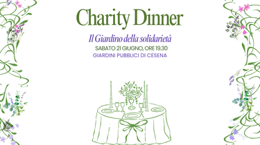 charity dinner
