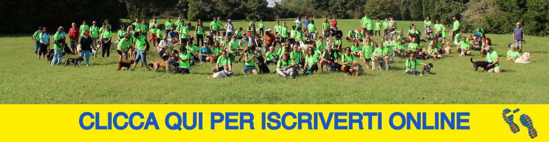 Iscrizione Dog Walking