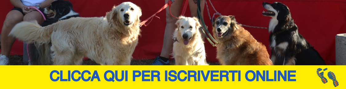 Iscrizione Dog Walking